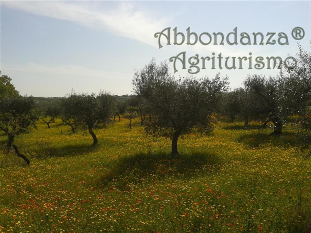 Agriturismo Abbondanza Villa Алберобело Екстериор снимка