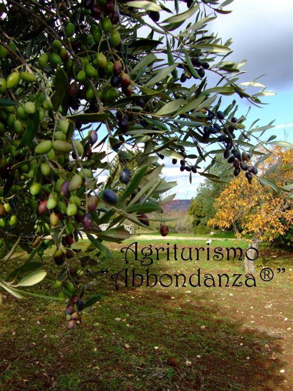 Agriturismo Abbondanza Villa Алберобело Екстериор снимка