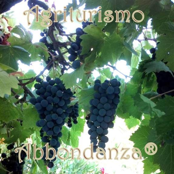 Agriturismo Abbondanza Villa Алберобело Екстериор снимка